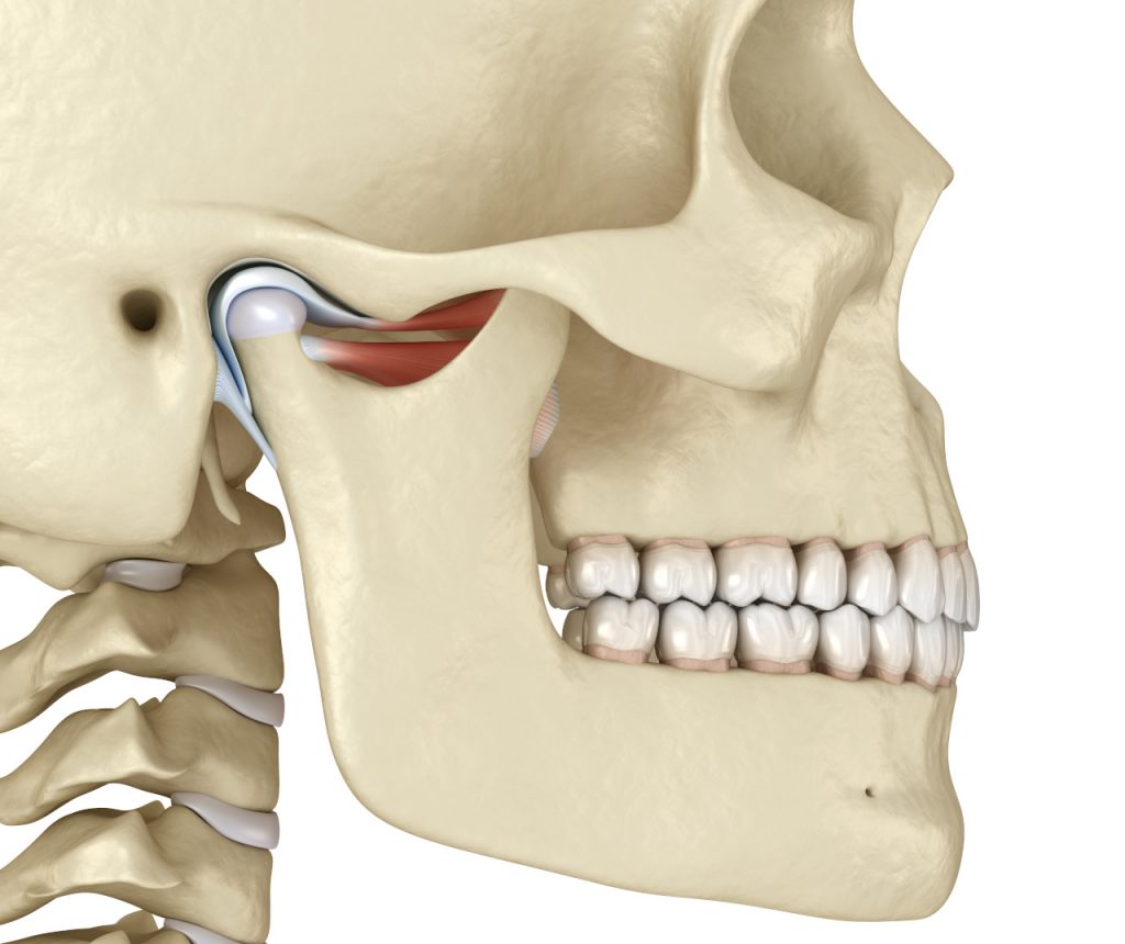Tout ce qu’il faut savoir sur l’articulation temporo-mandibulaire